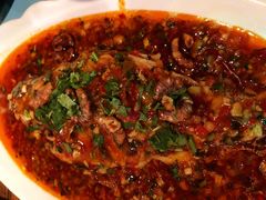 核桃鲈鱼-胡桃里乐队酒馆(鎏嘉码头店)