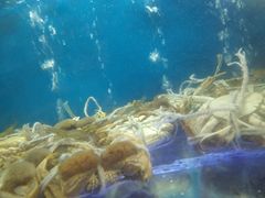 -蔚海之都·象山蒸汽海鲜(仙霞路店)