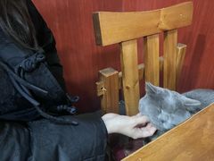 -老北京褡裢火烧·任记