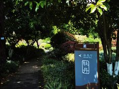 -浙江西子宾馆·牡丹厅