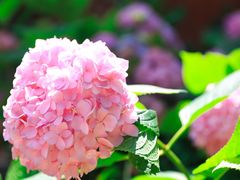 -昆明市金殿名胜区