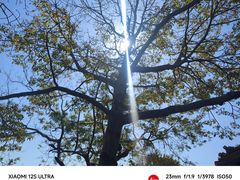-东山风动石景区