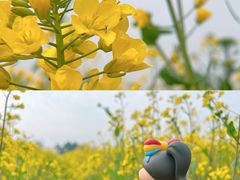 -蜀绣公园