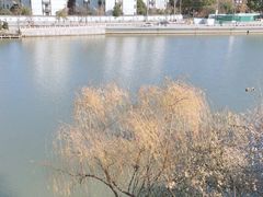 -相门城墙文化休闲景区