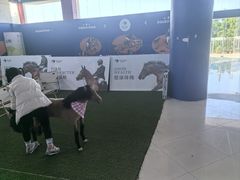 -骑乐马术(广州奥体优托邦中心)