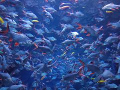 -成都浩海立方海洋公园