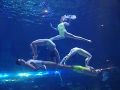 -华夏文旅海洋公园