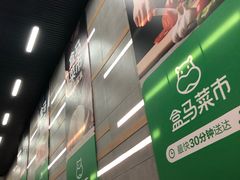 -盒马鲜生(红莲店)