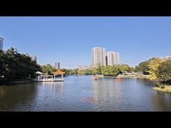 -荔湾湖公园