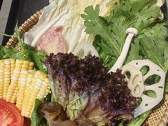 -木王宴语·野生鲜菌火锅(玉河店)