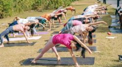 -元泉瑜伽培训学院