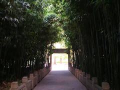 -采石矶景区