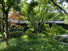 -杭州西子湖四季酒店-WL BISTRO西湖餐厅(灵隐路店)