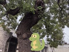 -平遥县衙