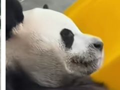 -栾川竹海野生动物园