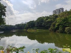 -深圳国际园林花卉博览园