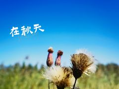 -野鸭湖国家湿地公园
