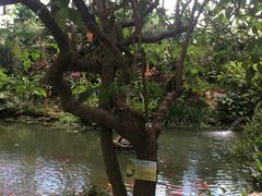 -南通洲际绿博园