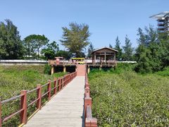 -北海金海湾红树林生态旅游区