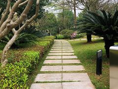 -广州国际生物岛山地公园揽胜园