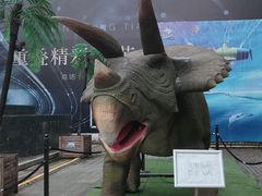 -重庆欢乐海底世界