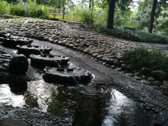 -成都市活水公园