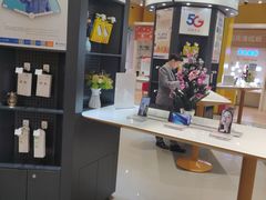 -中国电信(光谷创业街营业厅)