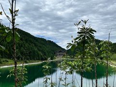 -武陵山森林公园