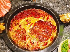 -蜀大侠火锅(建设路第五大道店)