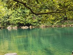 -石台牯牛降景区