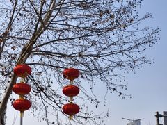 -蠡湖大桥公园