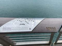 -星光大道