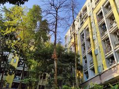 -华南师范大学(广州大学城校区)