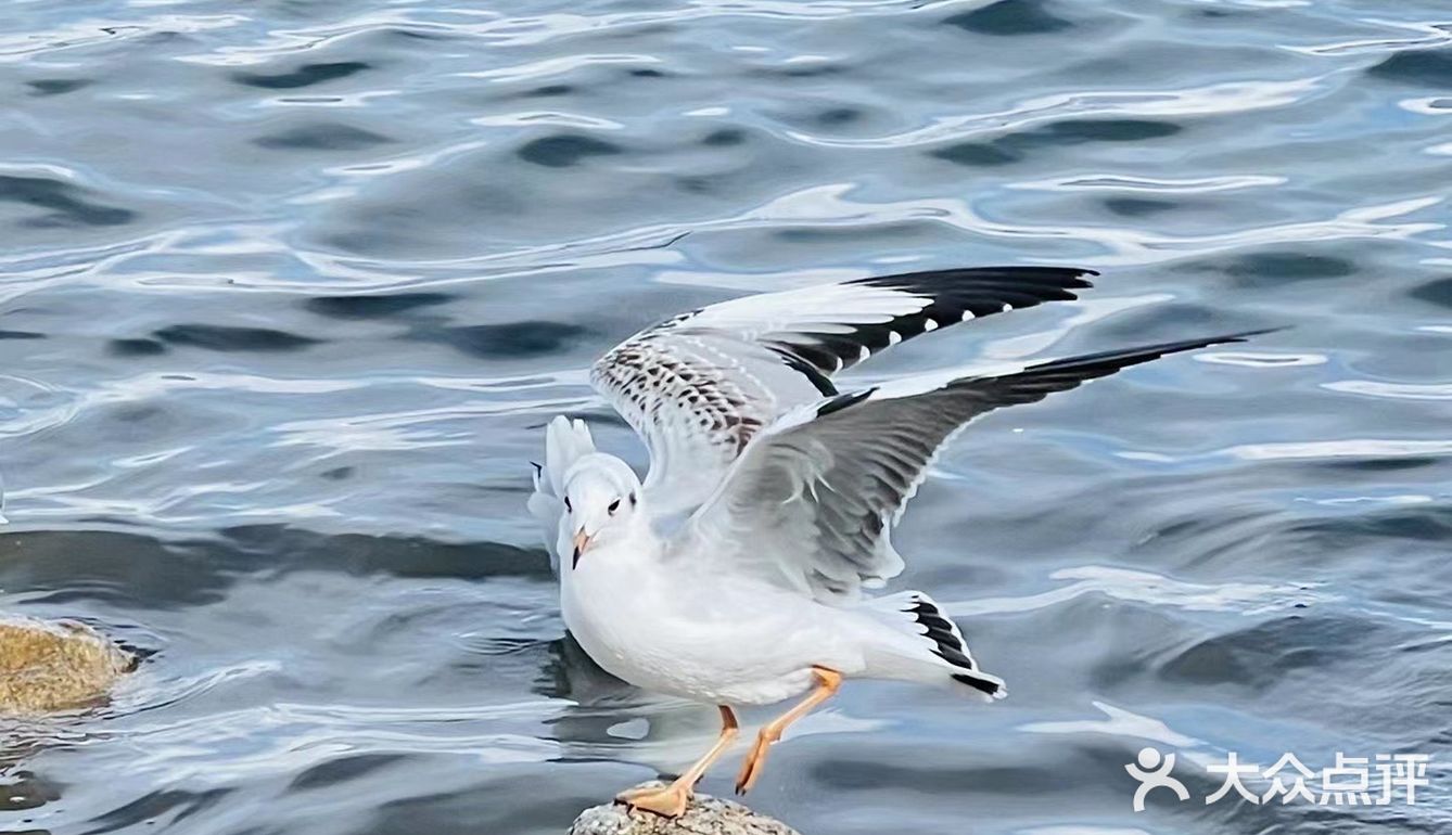 青海湖