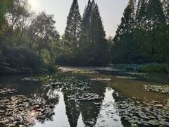 -洛阳市隋唐城遗址植物园