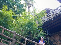 -海南槟榔谷黎苗文化旅游区