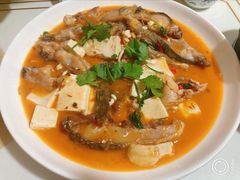 -煲来饱去冷水鱼