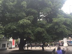 -晓港公园