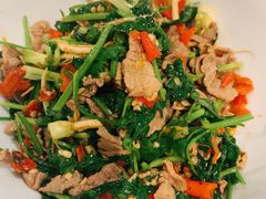 香菜炒牛肉-壹盏灯(蚂蚁工房店)