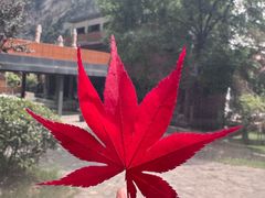 -少华山国家森林公园