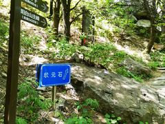 -阳台山自然风景区