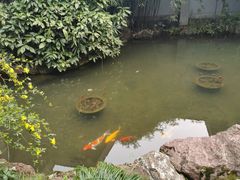 -中国茶叶博物馆(双峰馆区)