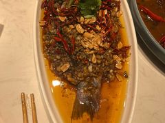 -杨氏青龙虾·羊蝎子(金盛路总店)