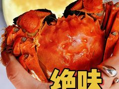 -水岸居湖景农家乐·阳澄湖大闸蟹
