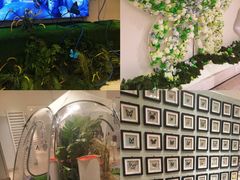 -深圳龙华星河COCO City(民治店)