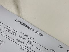 -北京观赏动物医院·24小时大型综合·猫专科·异宠专科