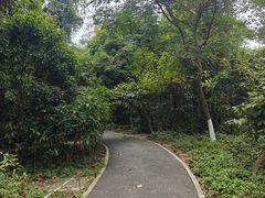 -广西壮族自治区药用植物园