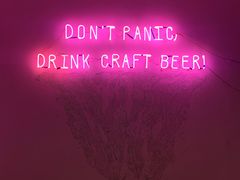 -ZING鲸鱼啤酒(葡萄院店)