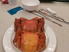 -青岛富力艾美酒店