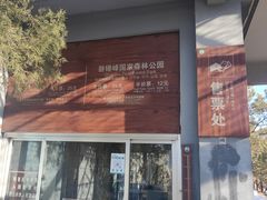 -磬锤峰森林公园